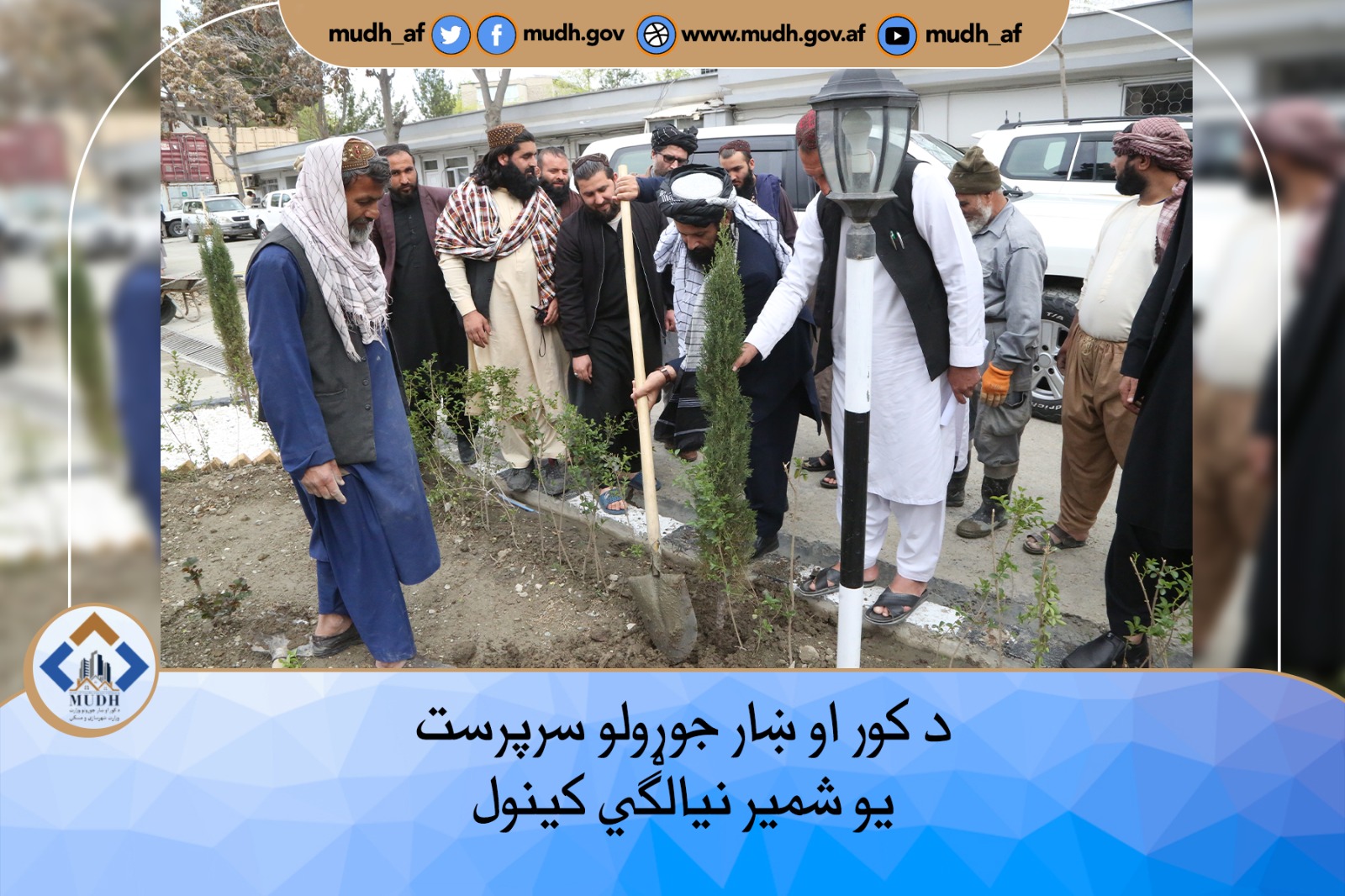 نیالګي