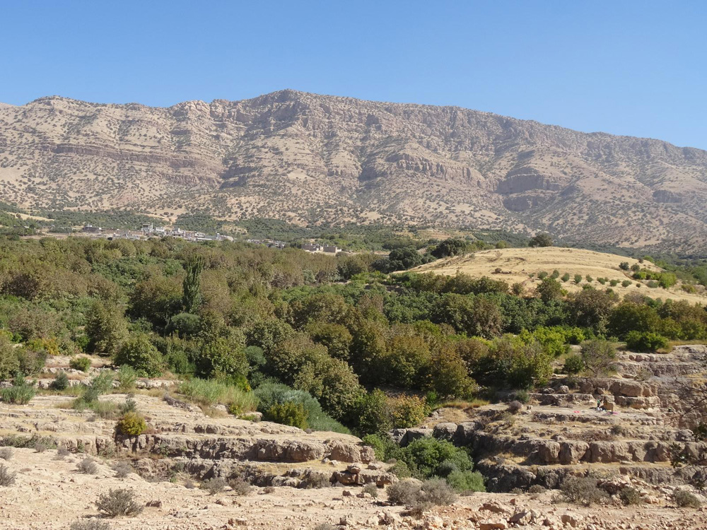 سرپل