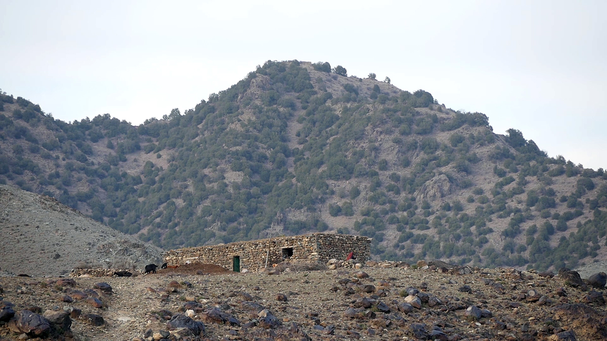 Paktia