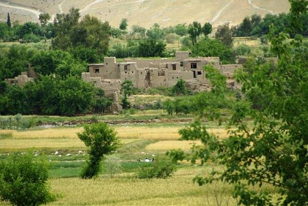 Laghman