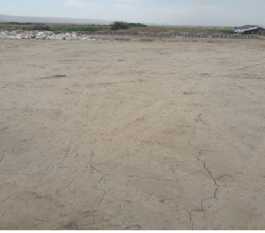 Kunduz