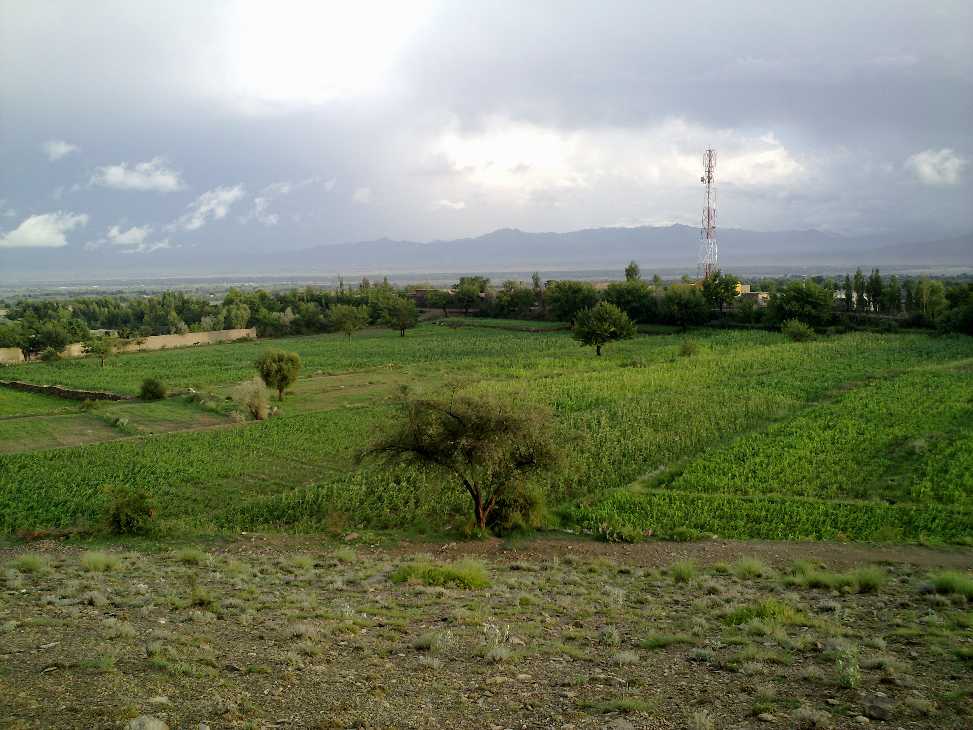 Khost