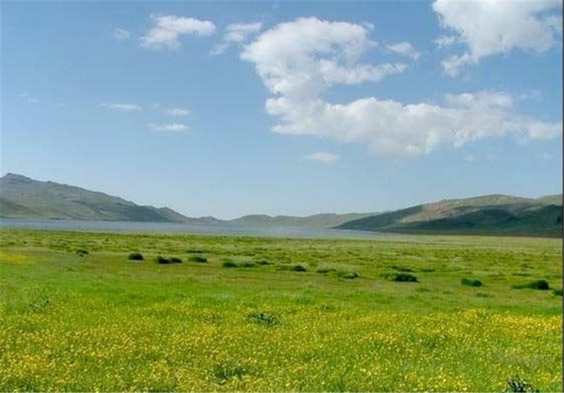 غور