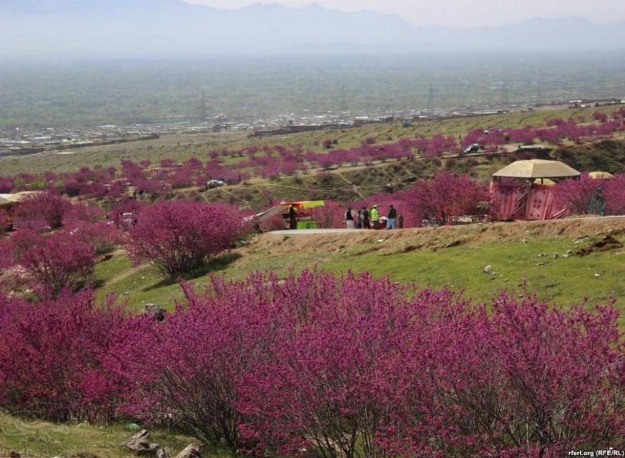 Parwan