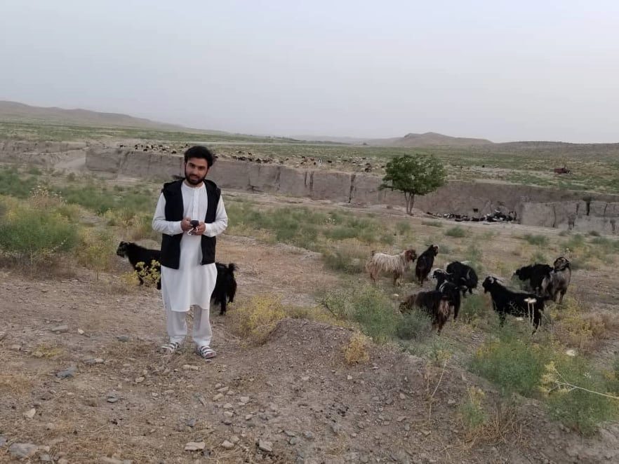 Zabul