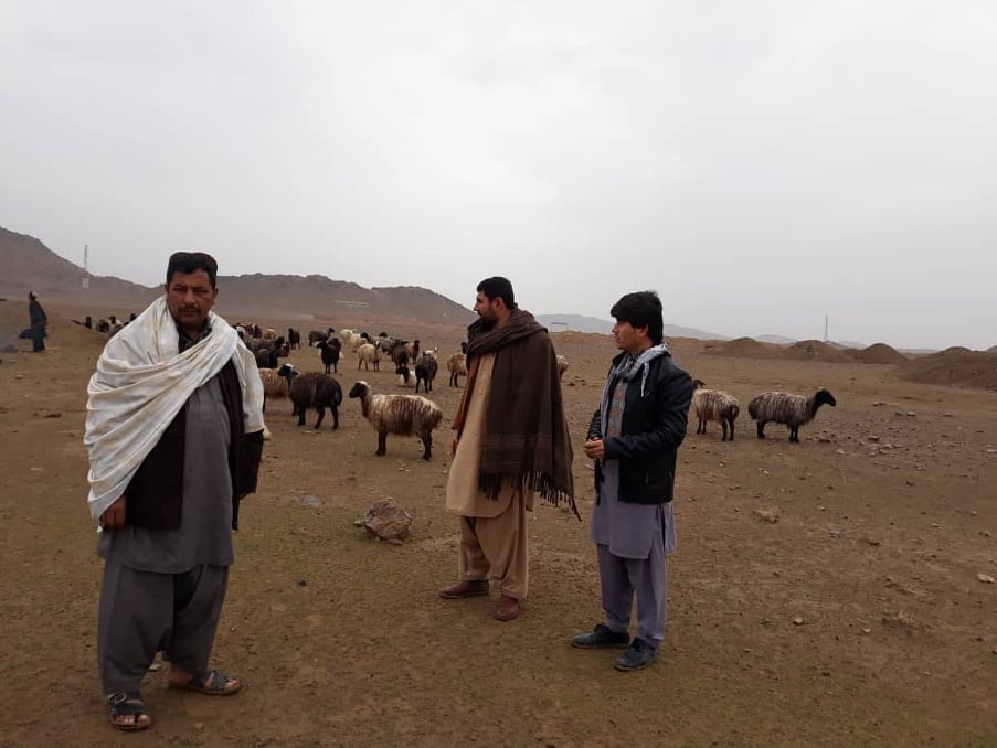 کندهار