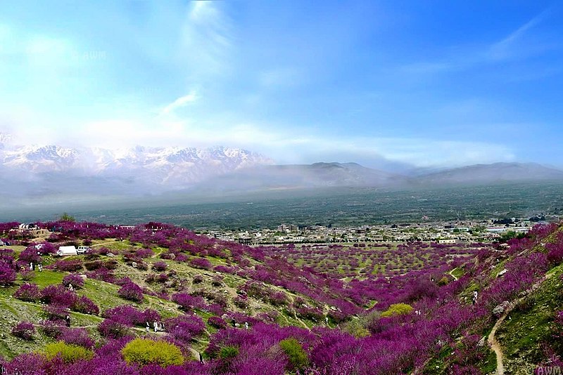 Parwan