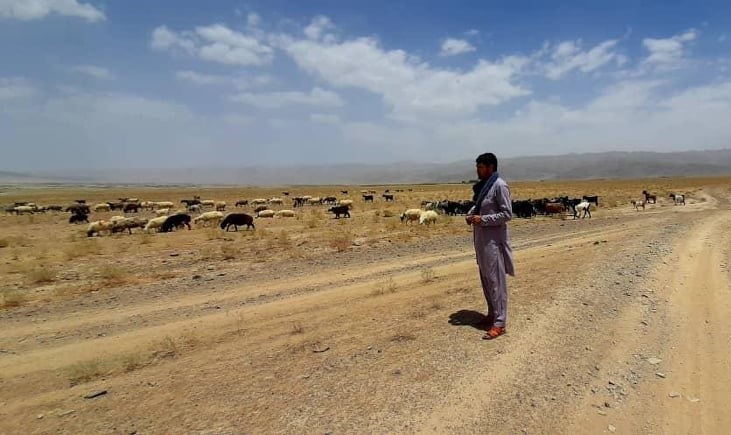 Kandahar