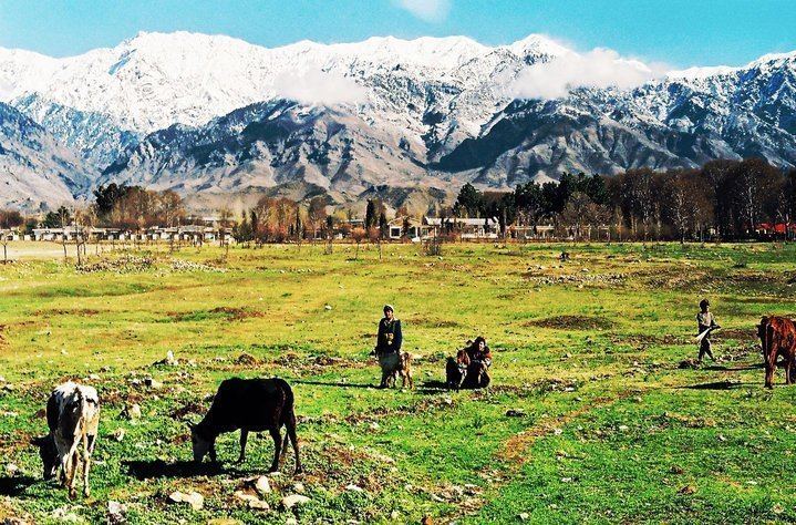 Logar