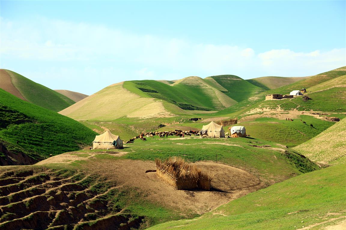 تخار 