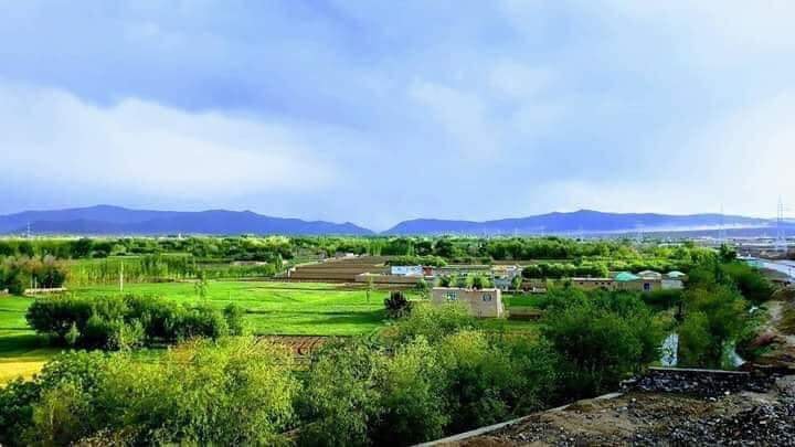Logar