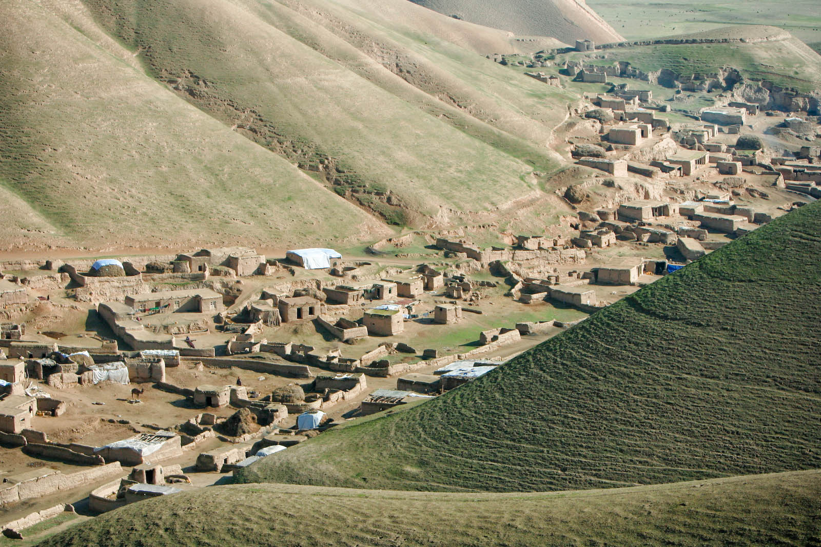 فاریاب