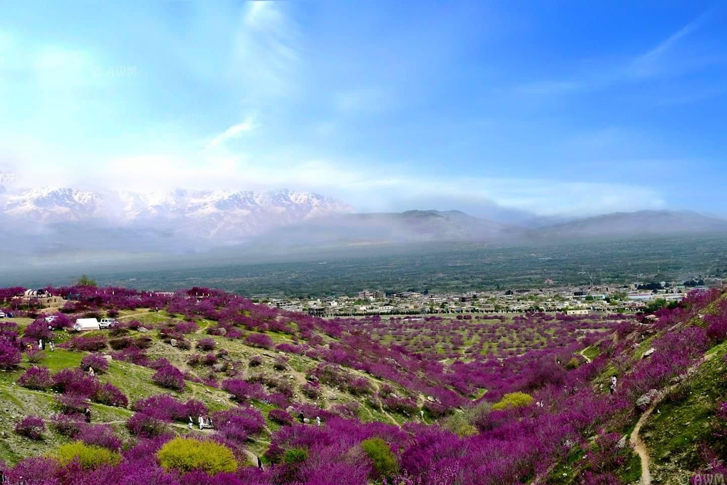 Parwan