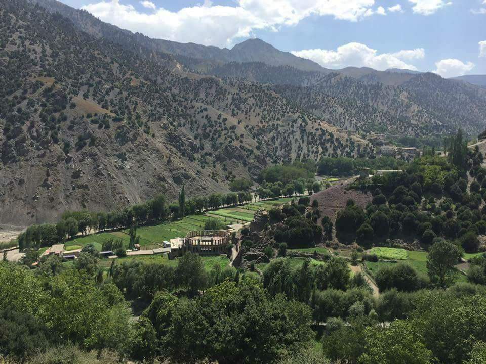 پکتیکا
