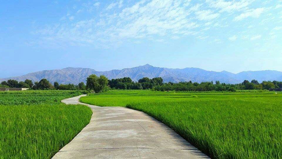 ننګرهار