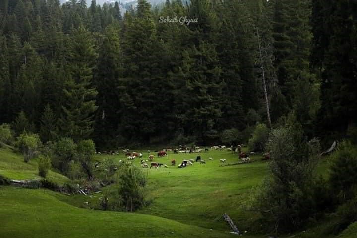 نورستان