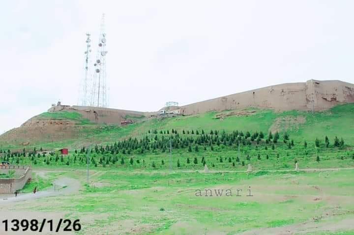 زابل