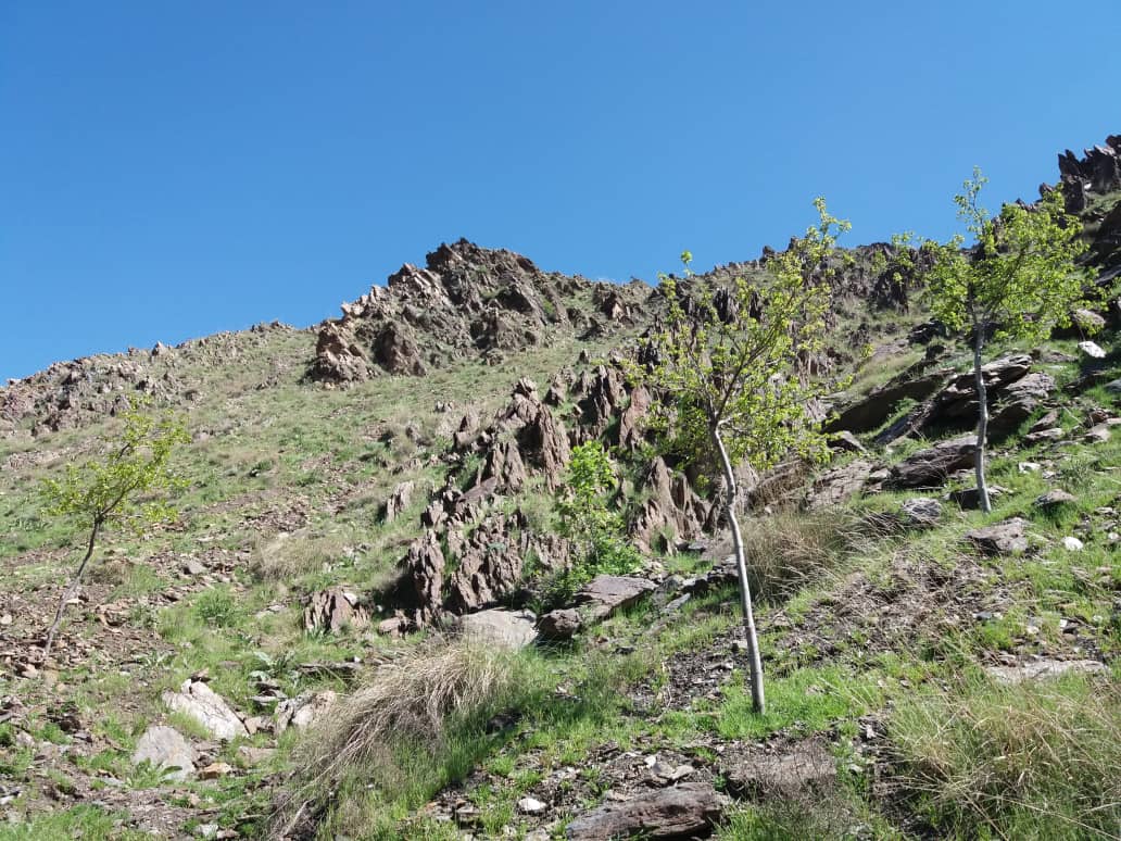 Khost